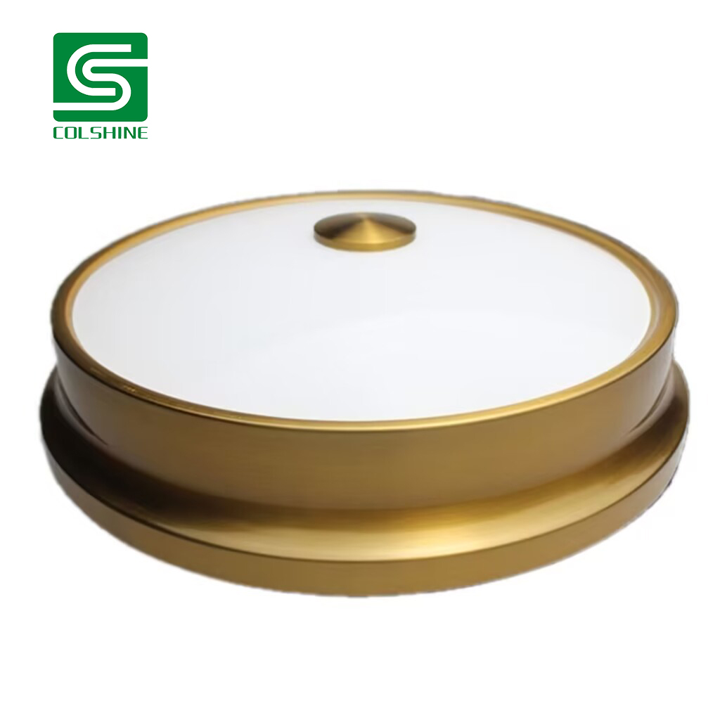 Round LED Ceiling Lamp Surface Mounted Interior Lighting Commerical Lamp