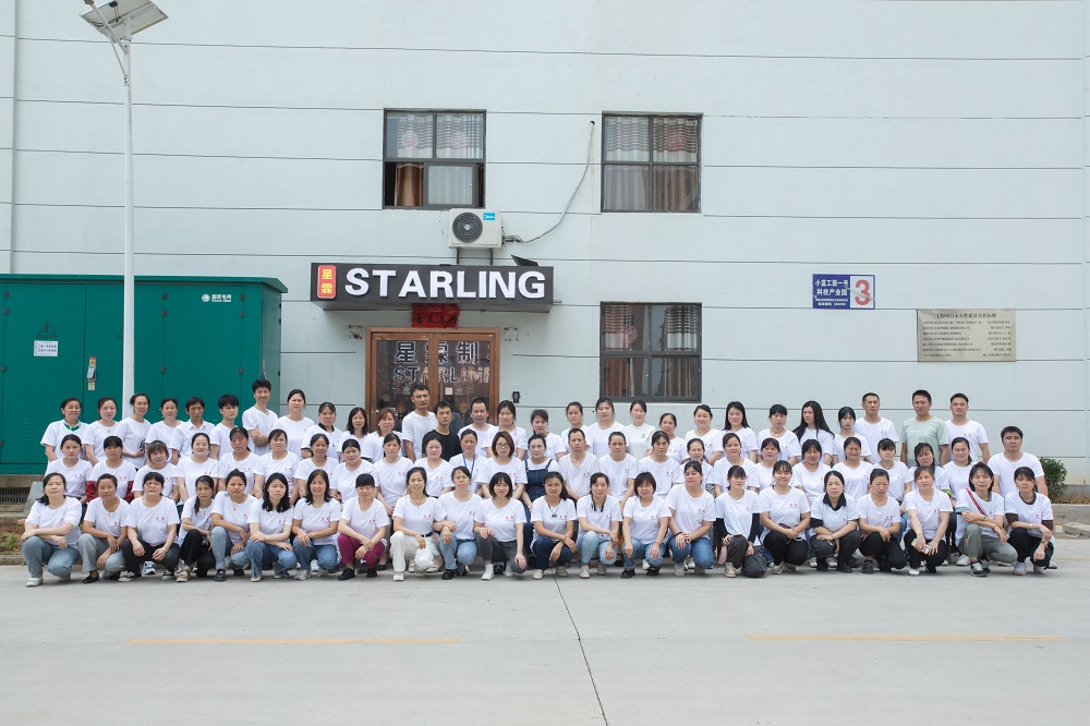 JIANGXI STARLING GARMENT CO LTD