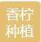 Maoming Dianbai District Xiangning Planting Professional Cooperative