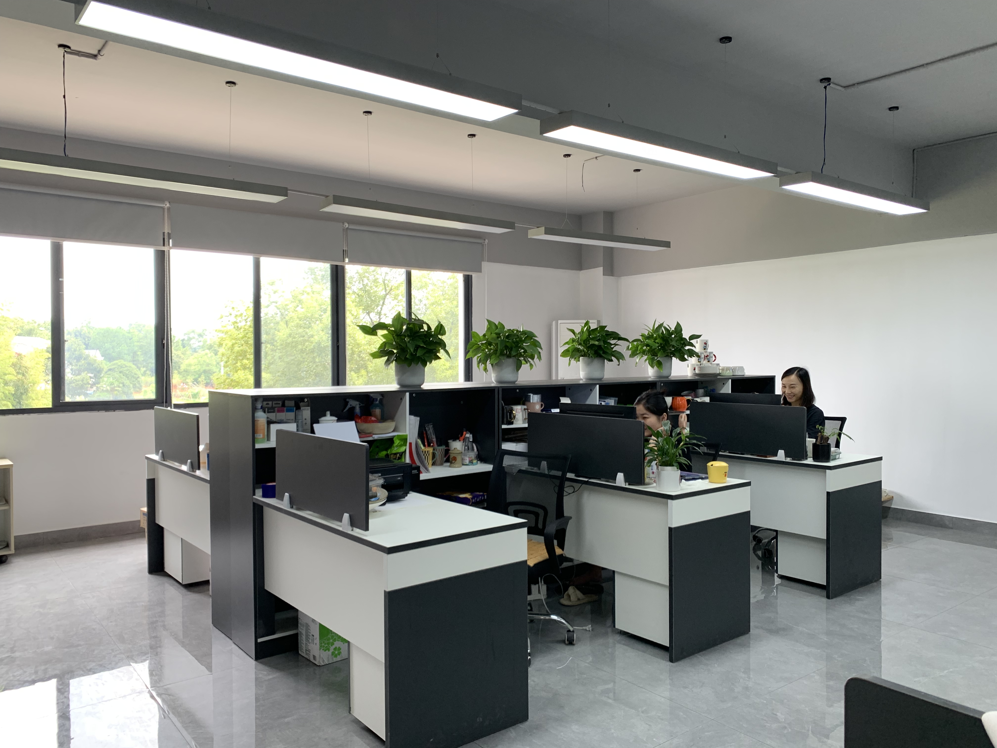 Liling Taozhi Trading Co., Ltd. – figura decorativa 1