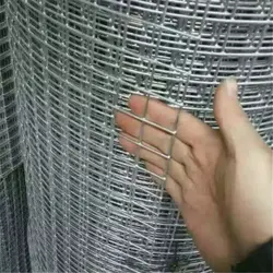 Welded wire mesh Galvanized Hot diped galvanized wire