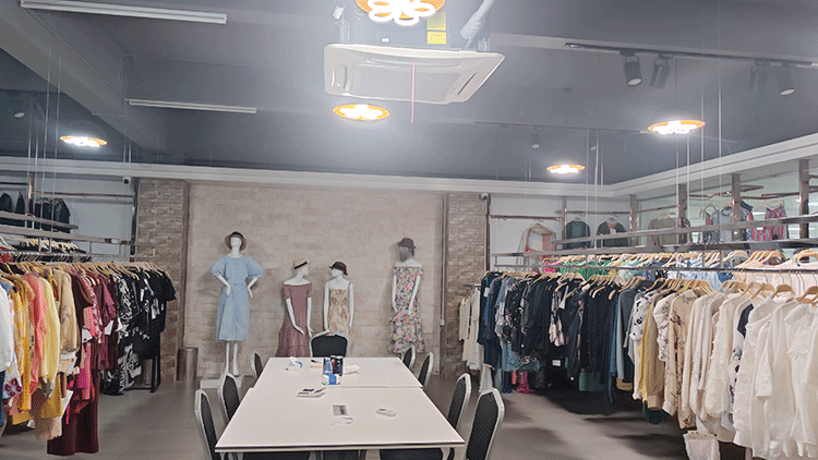 Guangzhou Chenxing Fashion Technology Co., Ltd. – Chiffon shirts 1