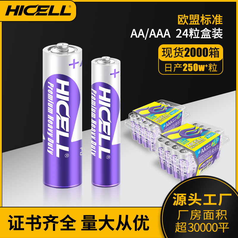 battery heavy duty r6p r03