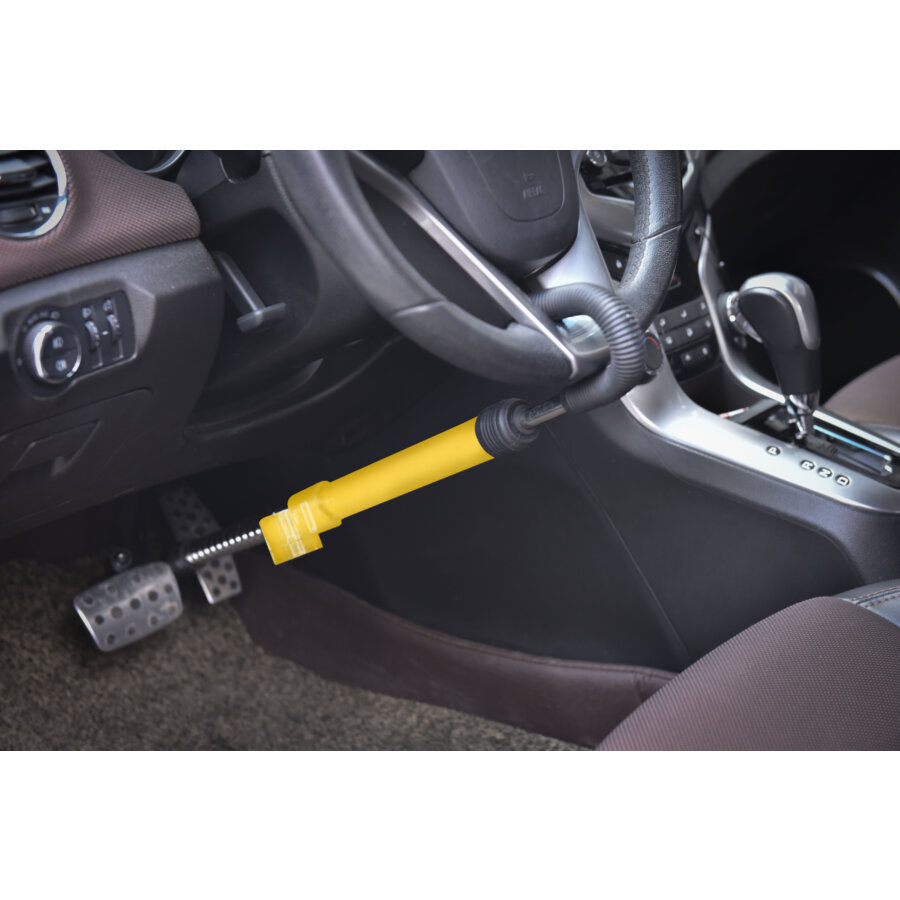 Pedal & Steering Wheel Lock