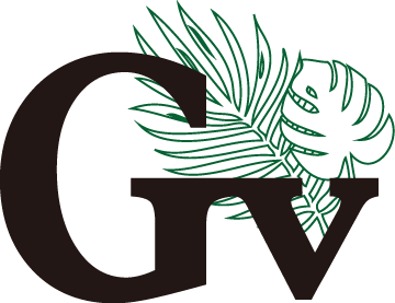 Shen Zhen Govishine International Trade Co.,Ltd