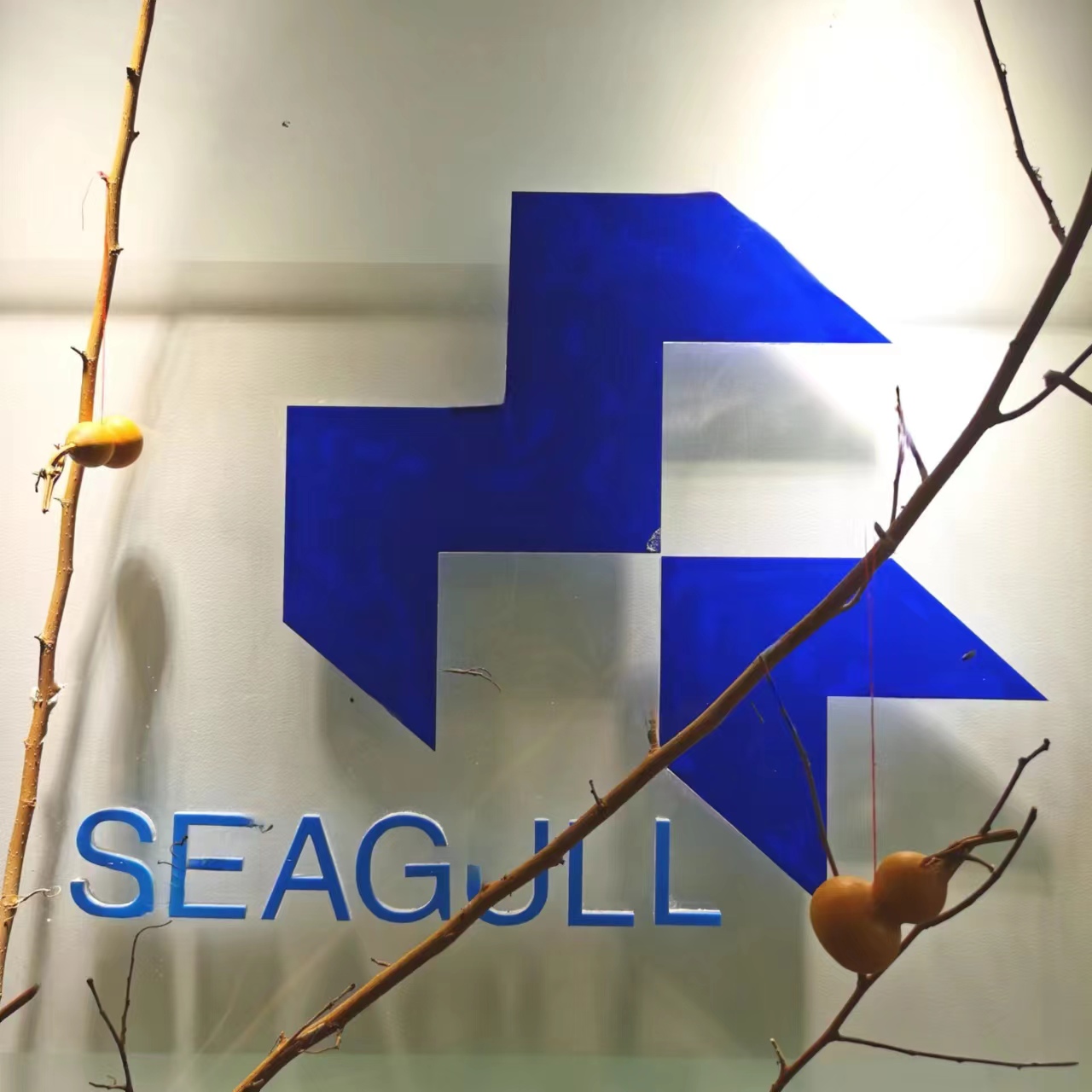 Weihai Shijiu Import and Export Co., Ltd.