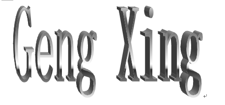 Shenzhen Gengxing Trading Co., Ltd.