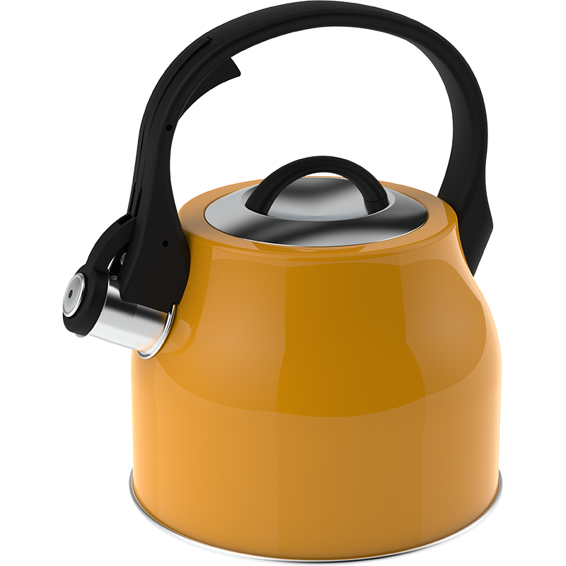Stainless Steel Kettle