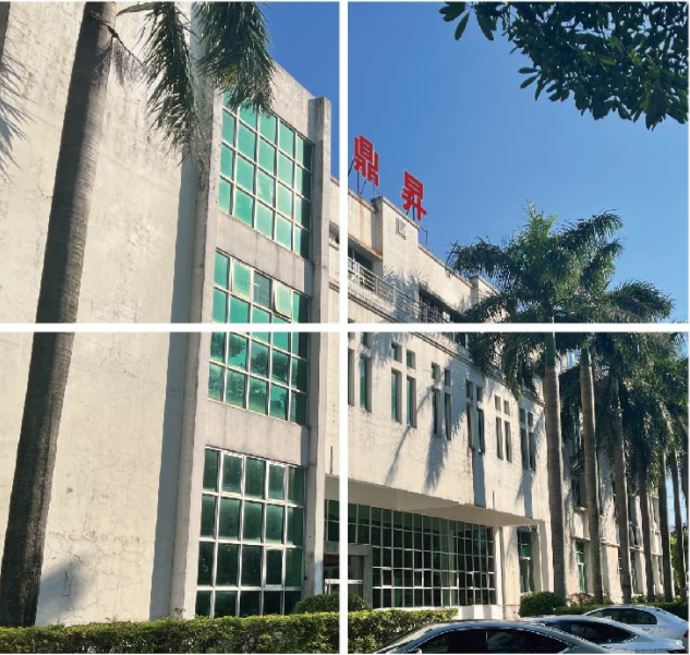 Beihai Dingsheng Digital Technology Co., Ltd. – LED display screen 1