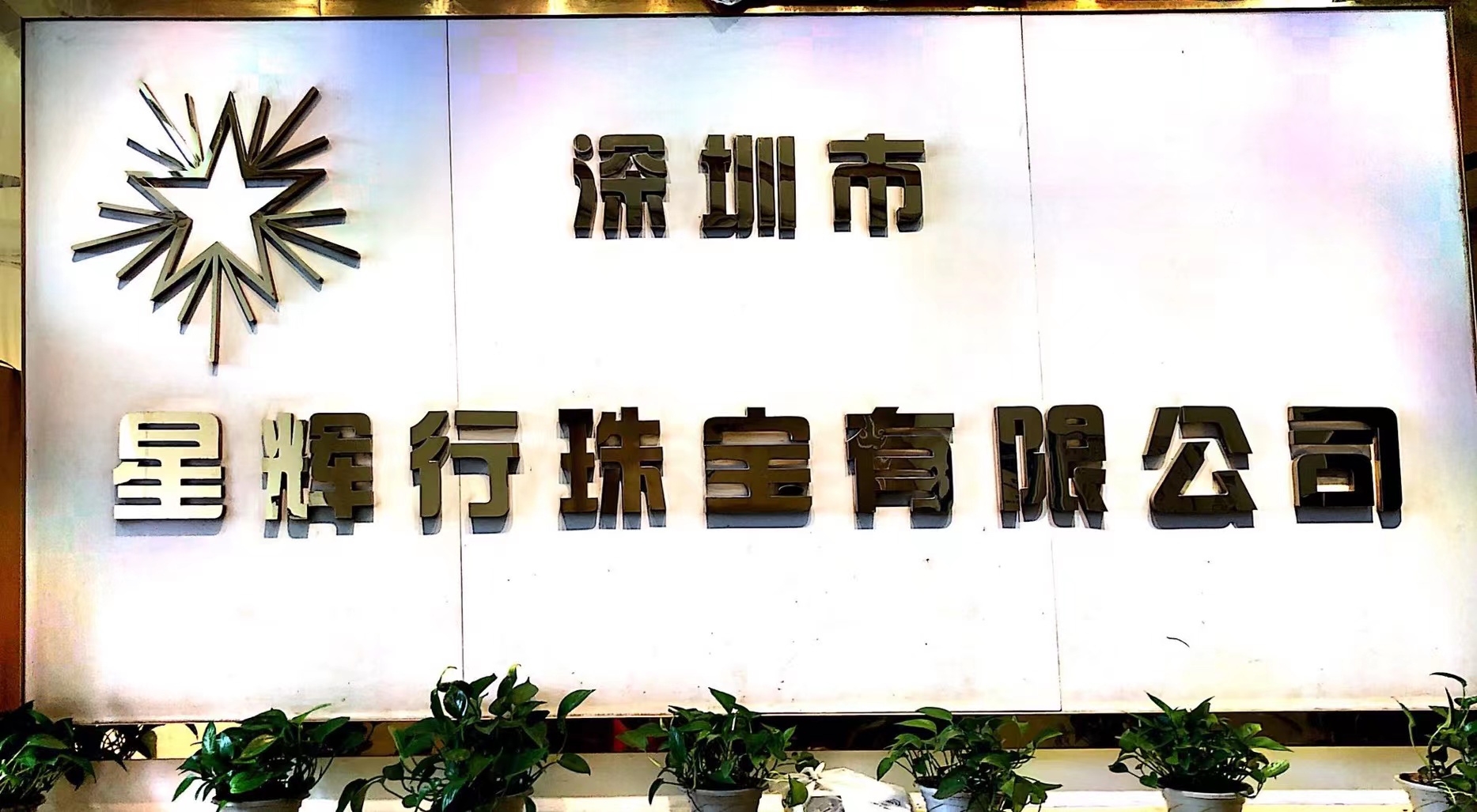 Shenzhen Xinghui Xing Jewelry Co., Ltd.