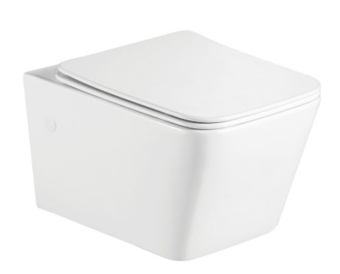 Two Piece Toilets With 300mm Rough In Ceramic Toilet Bathroom Toilet