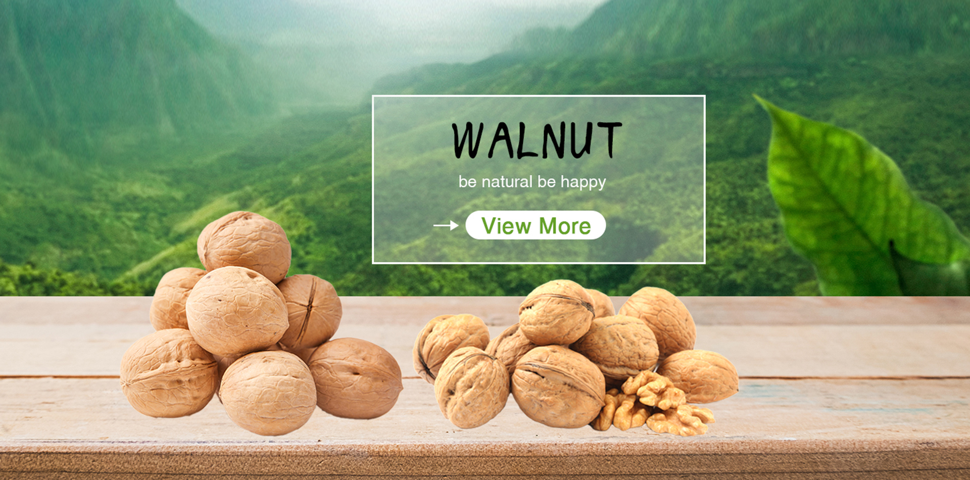 Hebei Luhua Import and Export Trading Co., Ltd. – Other Nuts and Nuts 3