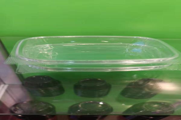 SHANGHAI LEKIN ENTERPRISE CO.,LTD – vaso de cristal 2