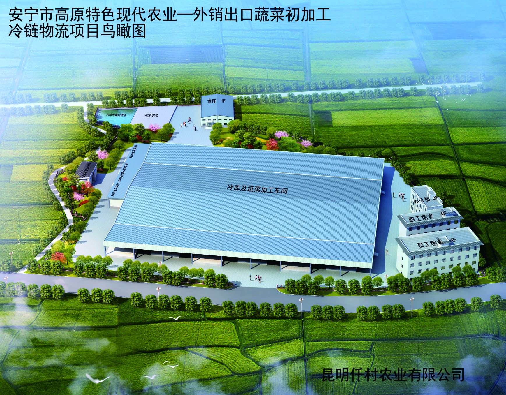 Kunming Qiancun Agriculture Co., Ltd. – Fresh peppers 1