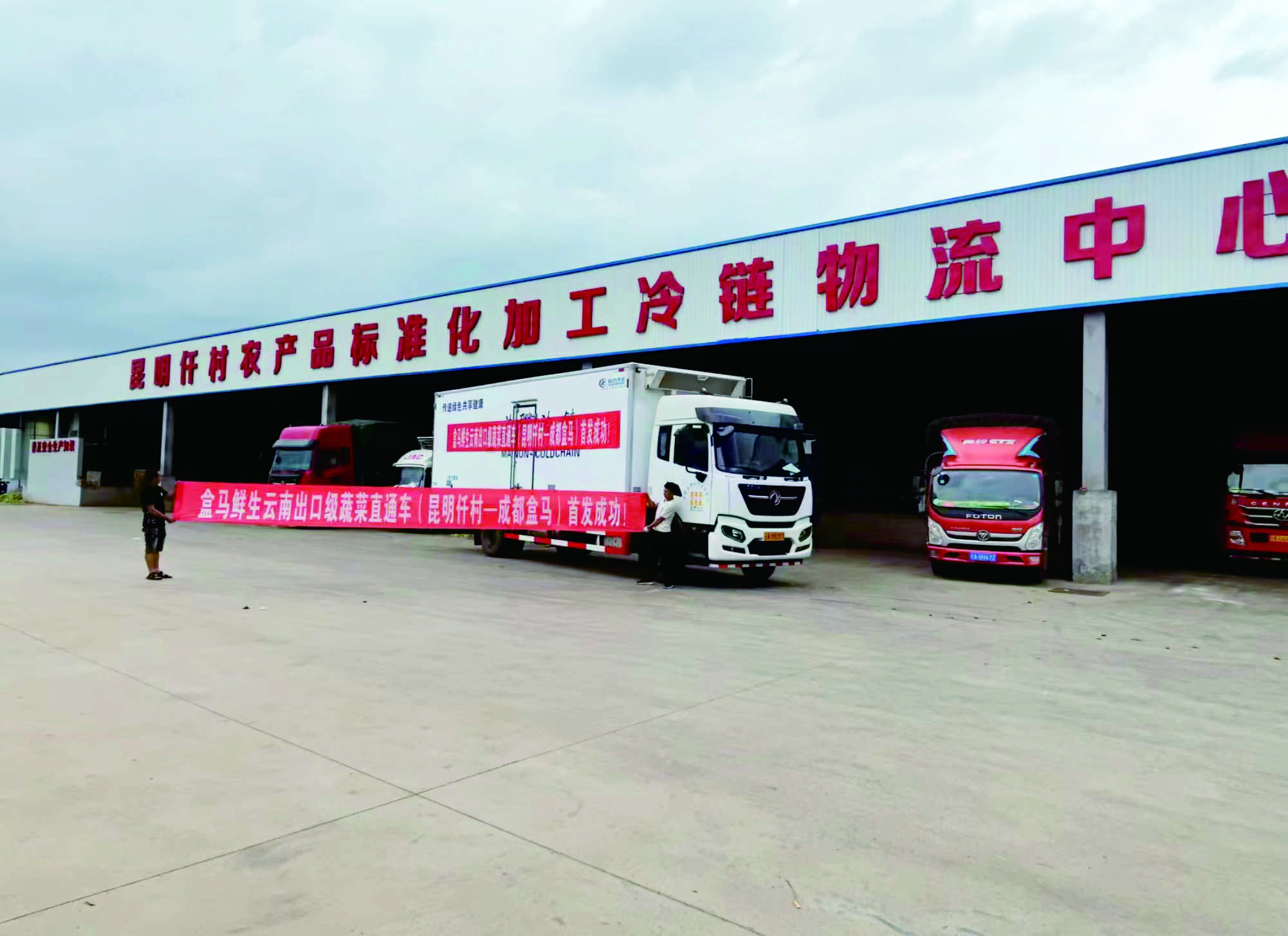 Kunming Qiancun Agriculture Co., Ltd. – fresh cauliflower 3