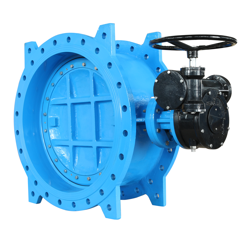 Double Eccentric Butterfly Valve