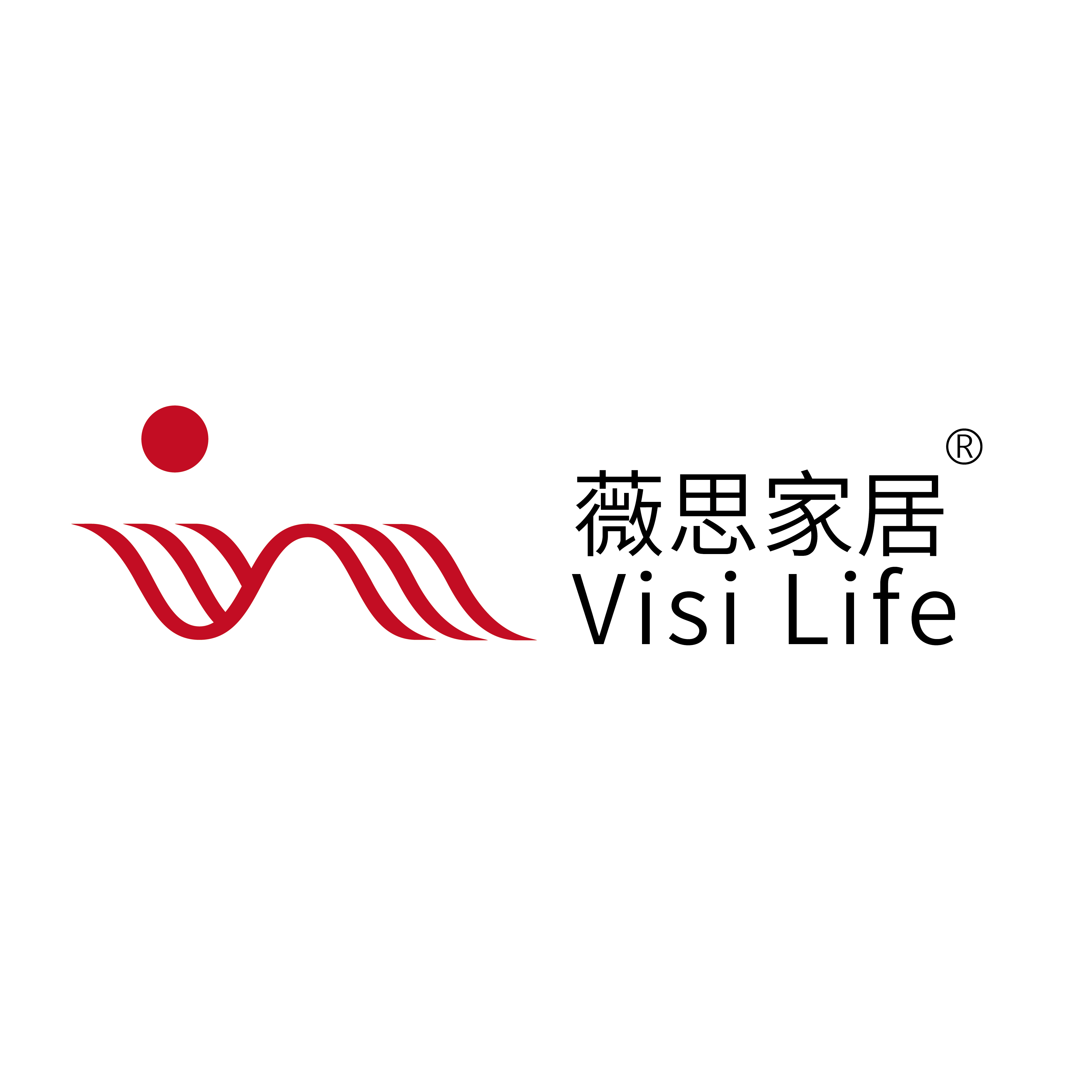 JIUJIANG CITY VISI LIFESTYLE CO.,LTD