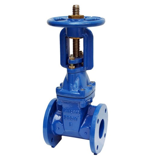 Rising stem rubber gate valve