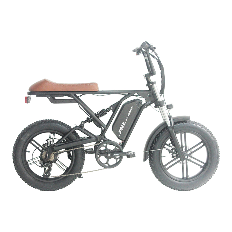 Zhejiang JSL Vehicle co.,ltd – Electric scooter 3