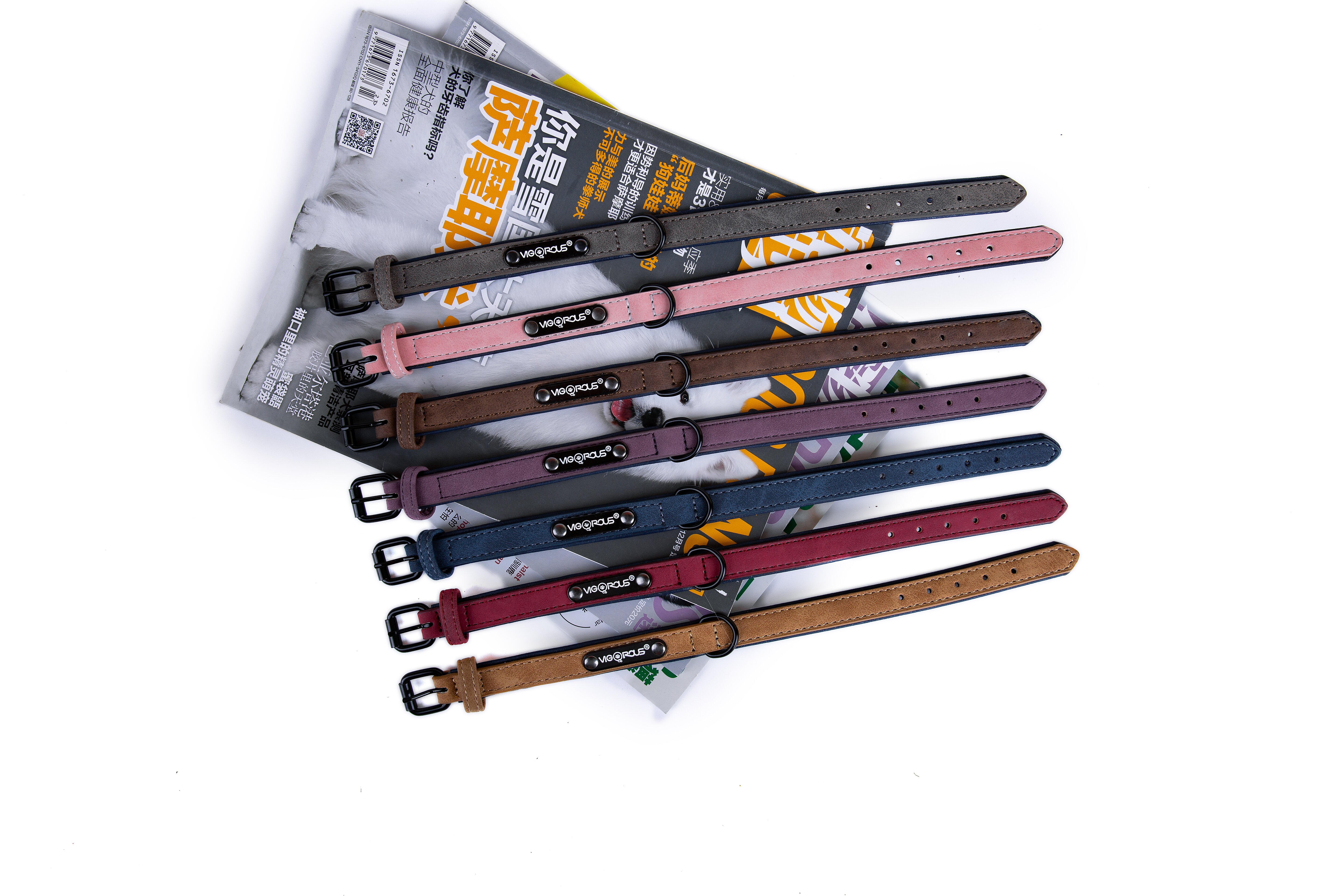 Wenzhou Vigorous Pet Products Co, Ltd – bicicleta de montaña 3