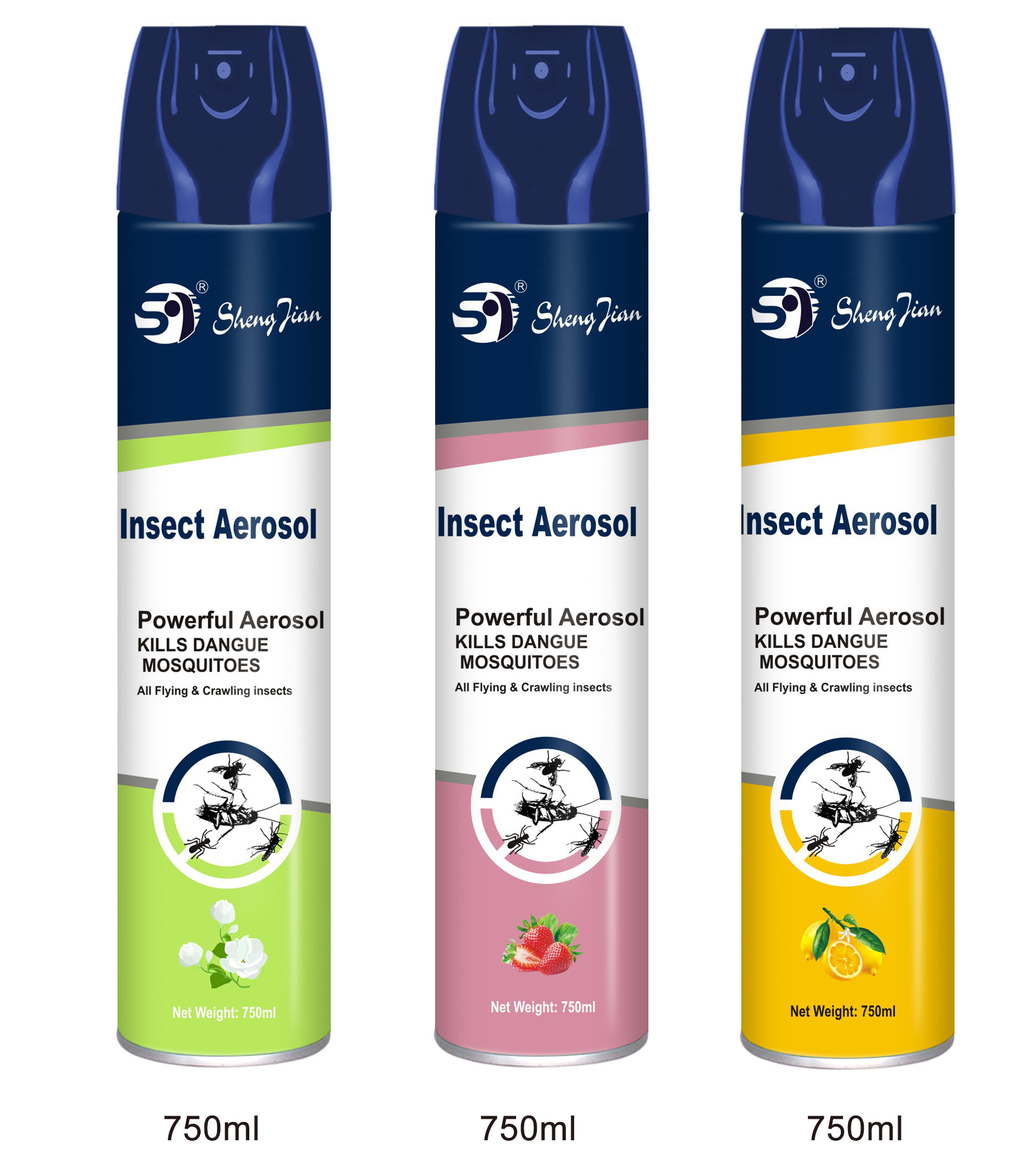 Insect aerosol