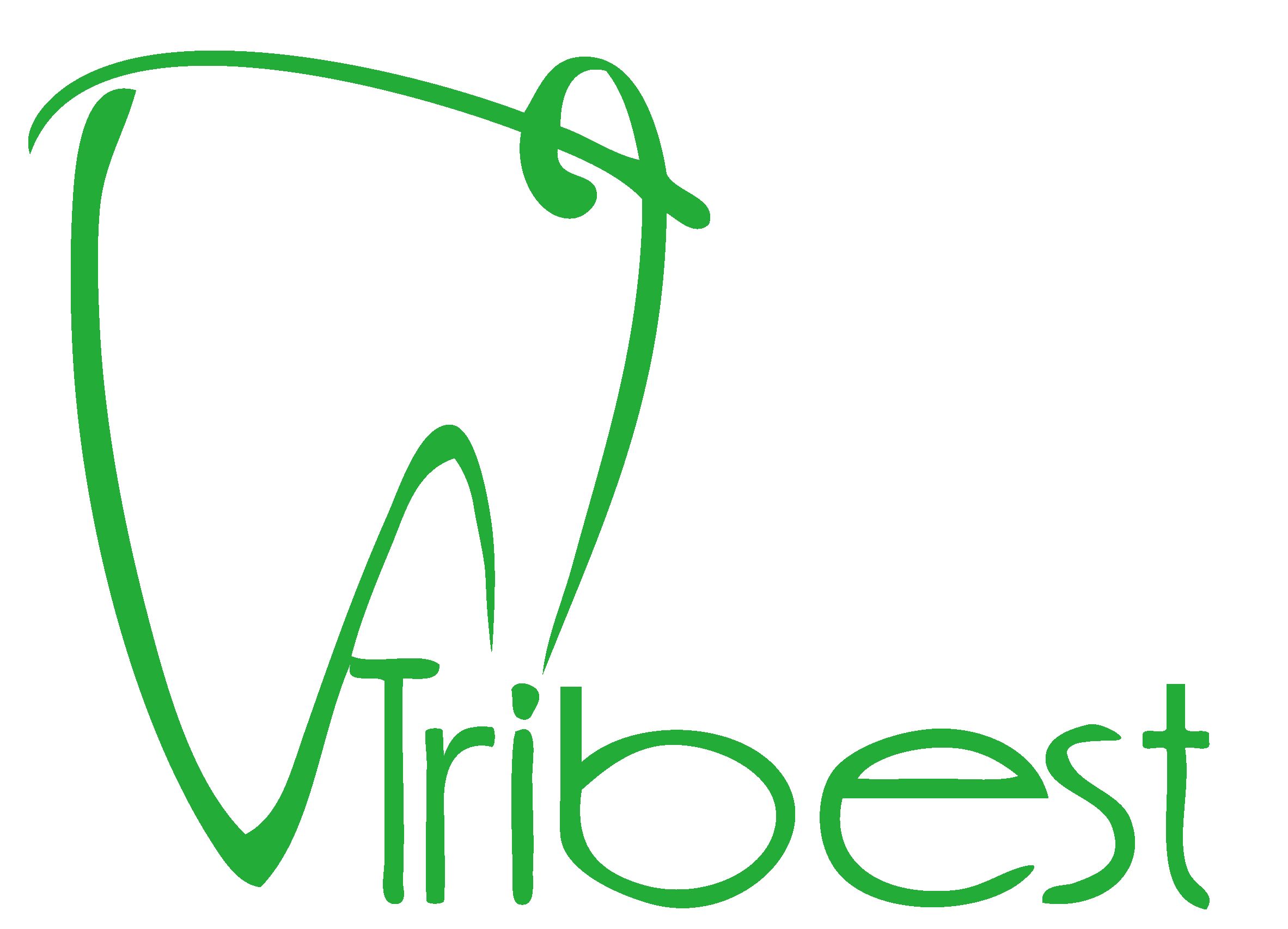 Tribest dental products Co.,Ltd.