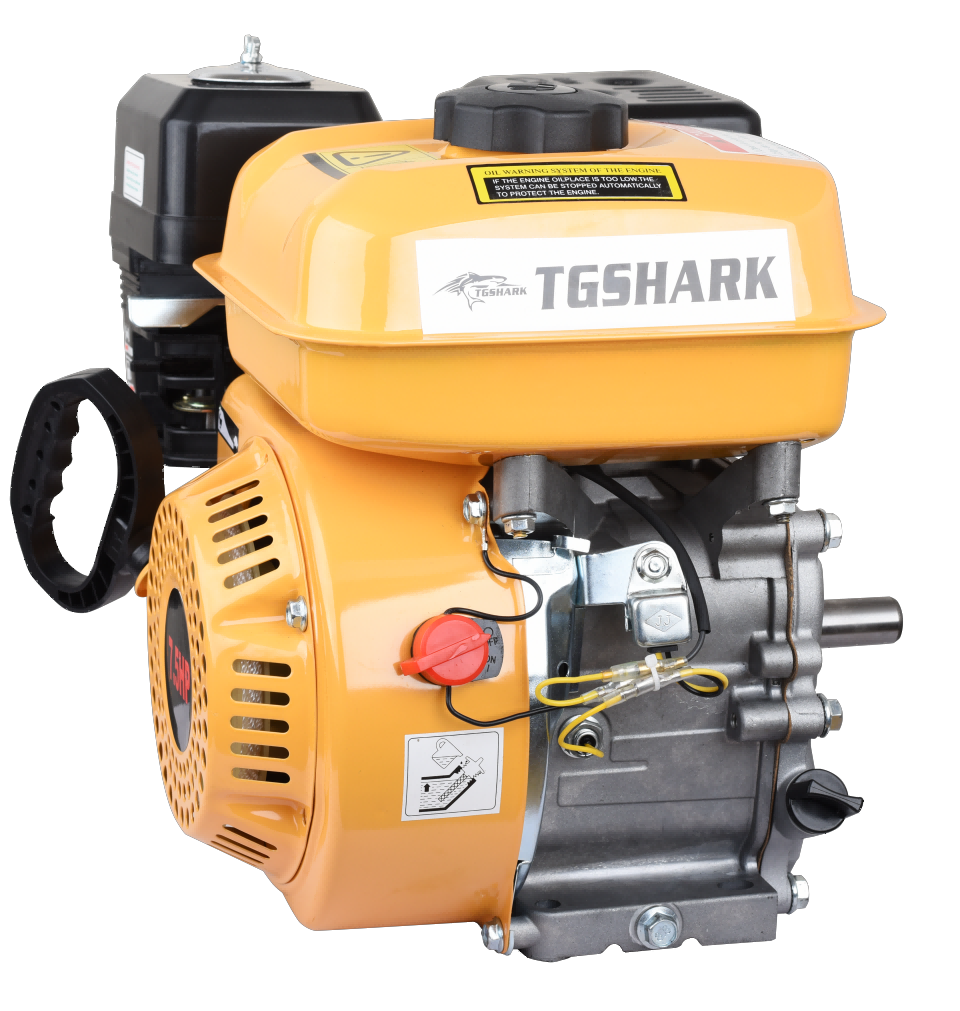 Gasoline Engine
