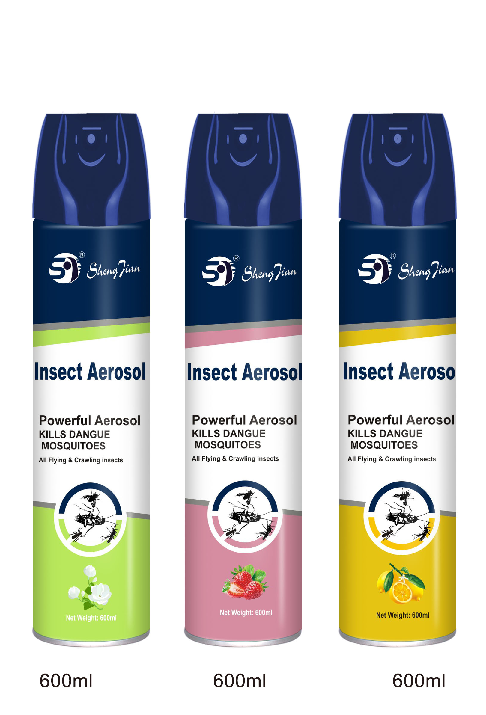Insect aerosol 600ml