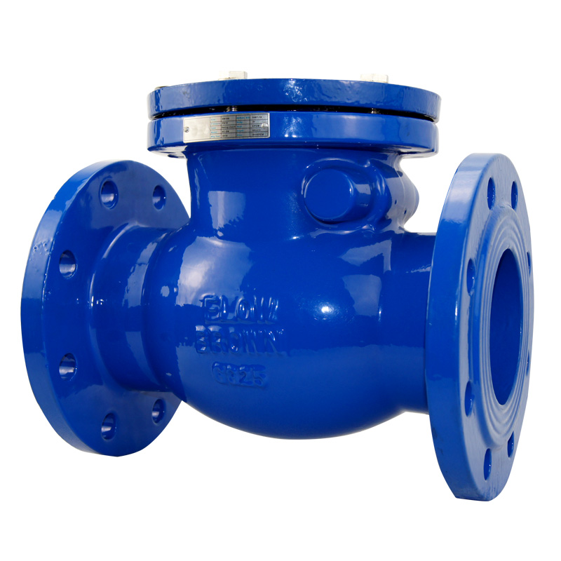Swing check valve