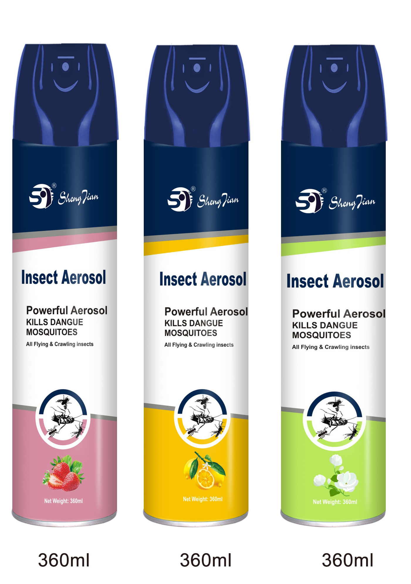 Insect aerosol 360ml