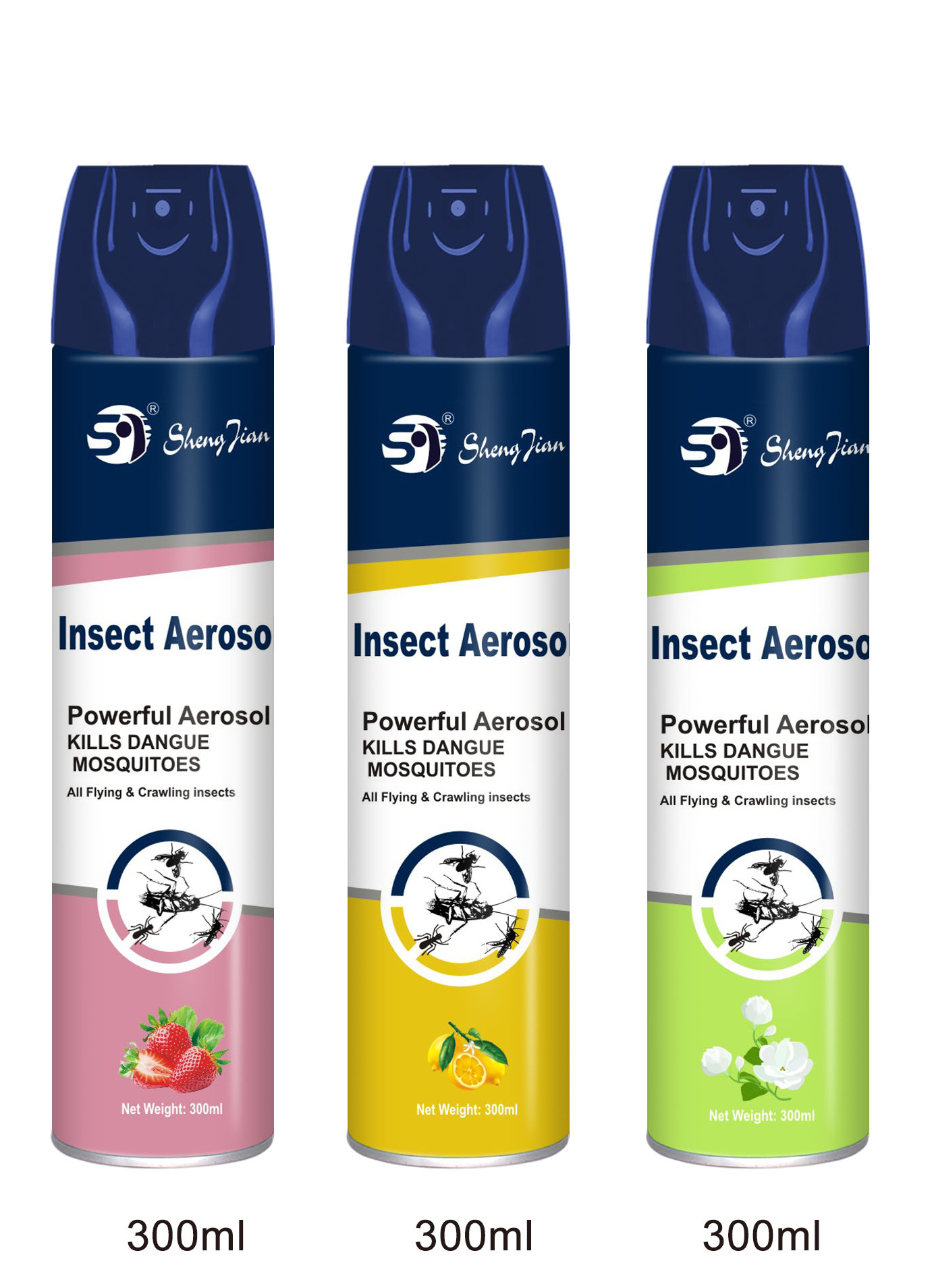 Insect aerosol 300ml