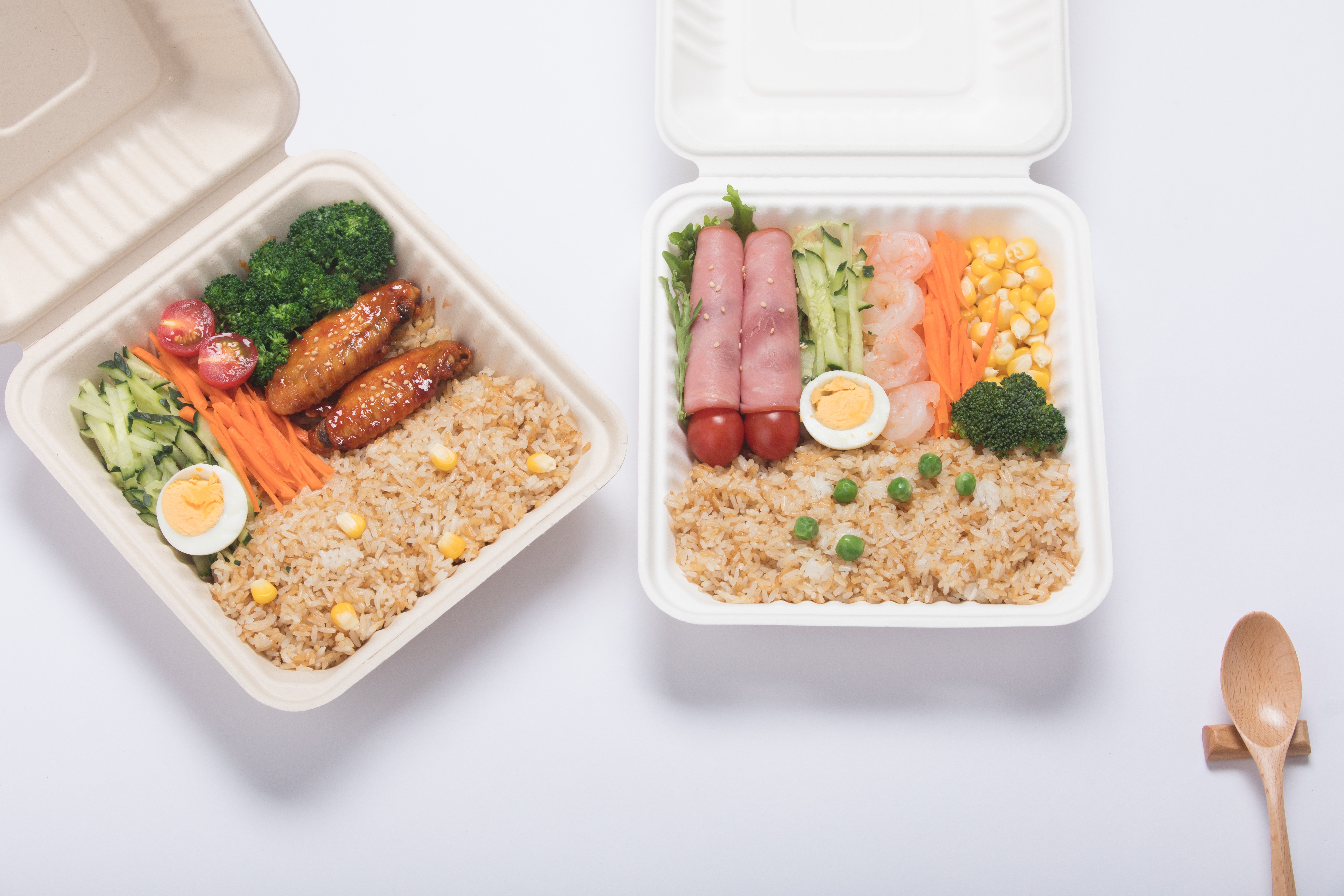 Biodegradable plant fiber products