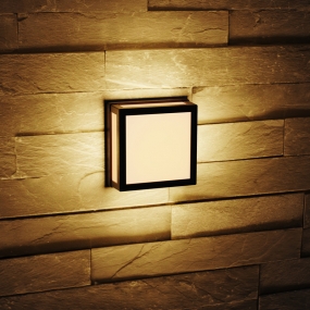Hangzhou Thinklux Import And Export CO.,Ltd – tubo fluorescente 2