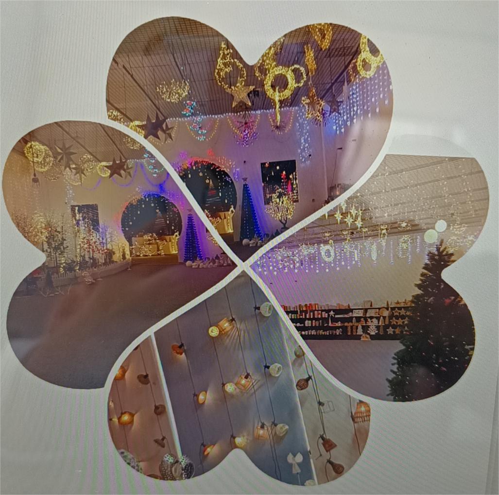 Anyang Xinye Optoelectronics Co., Ltd.