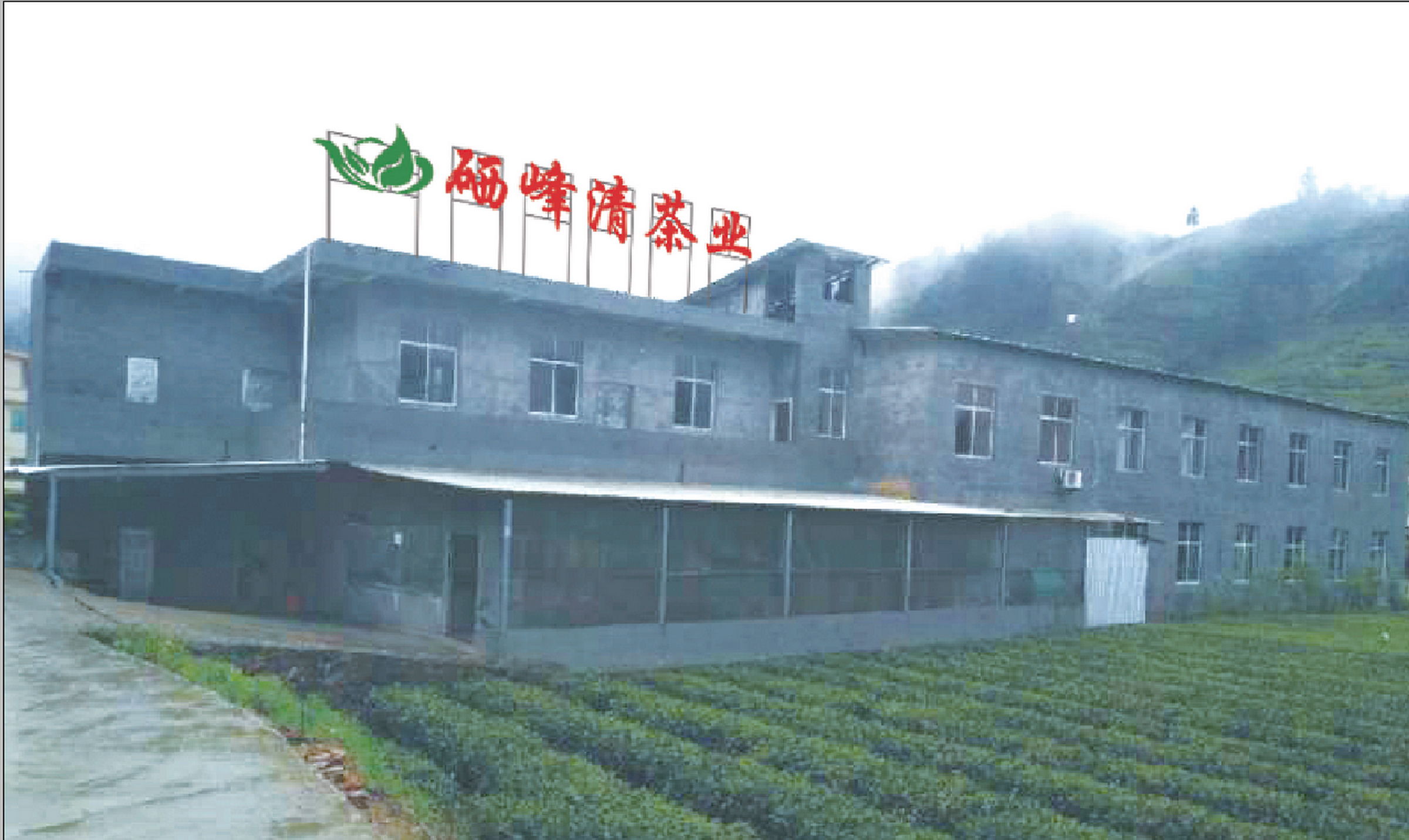 Rucheng Xifeng Qingcha Tea Development Co., Ltd. – Other teas 1