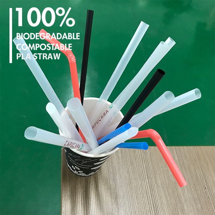 ECOPOLY PLA straw