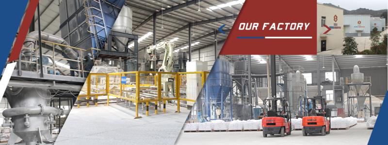 Guizhou Cyber Alliance Micronized Powder Industrial Co., Ltd. – Other chemical products 1