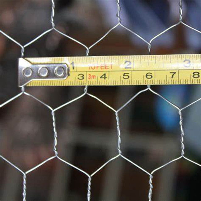 Renqi Hot dipped galvanized Hexagonal wire mesh chicken wire mesh rabbit wire mesh