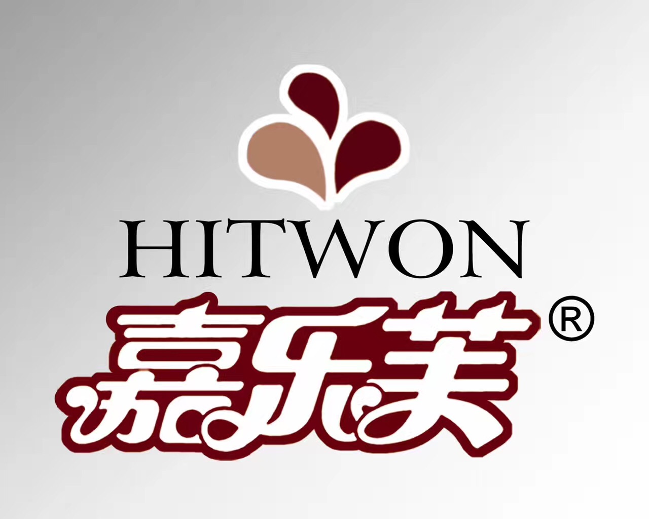 GUANGDONG HITWON FOOD CO.,LTD