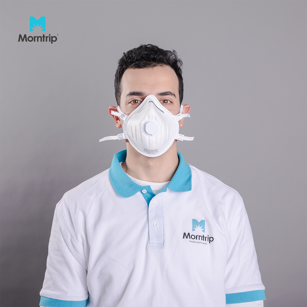 FFP3 Disposable Mask