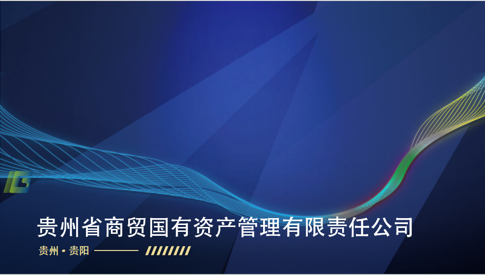Guizhou Province Commerce and Trade State-owned Assets Management Co., Ltd. – and other home audio and video equipment 3