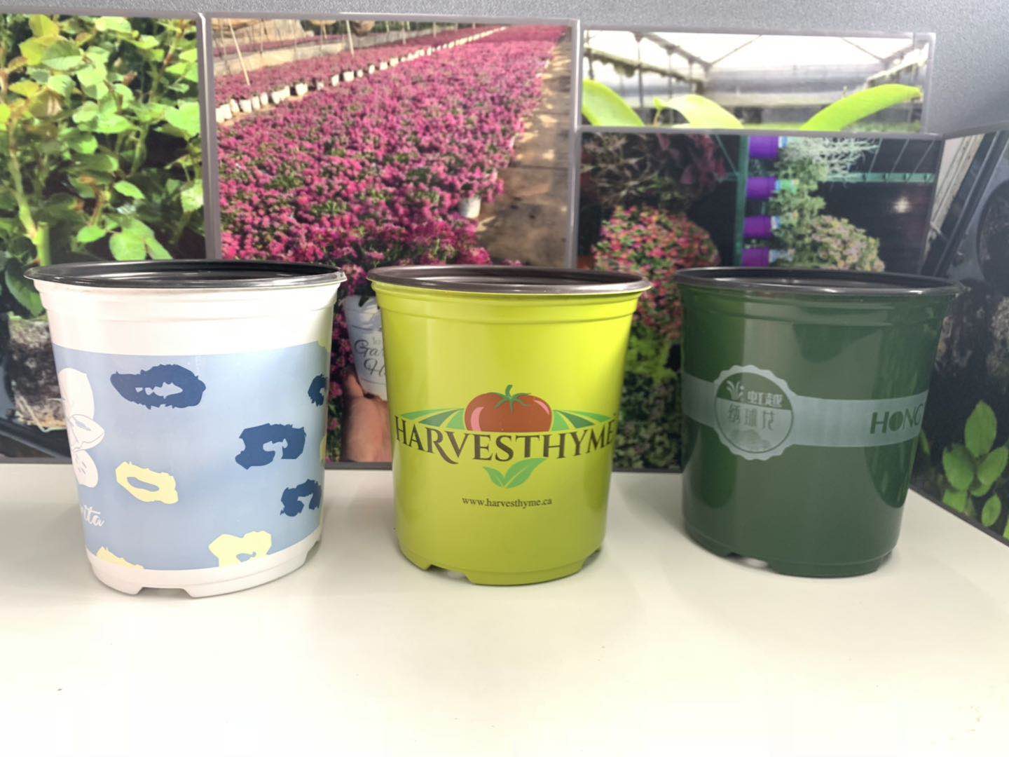 Suzhou Huanmei Horticulture Technology Co., Ltd. – vela aromática 2