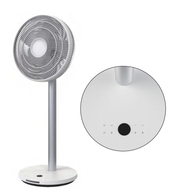 DC stand fan