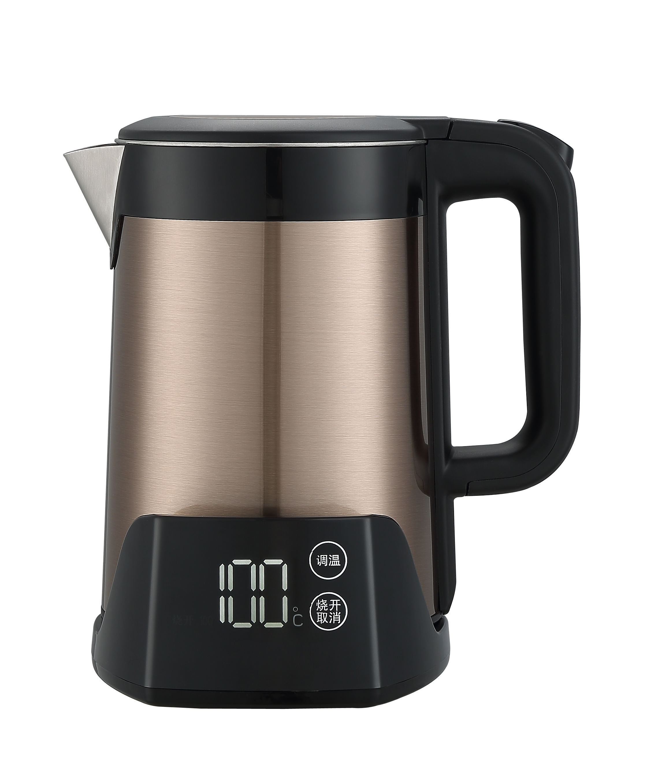 Electronic Kettle