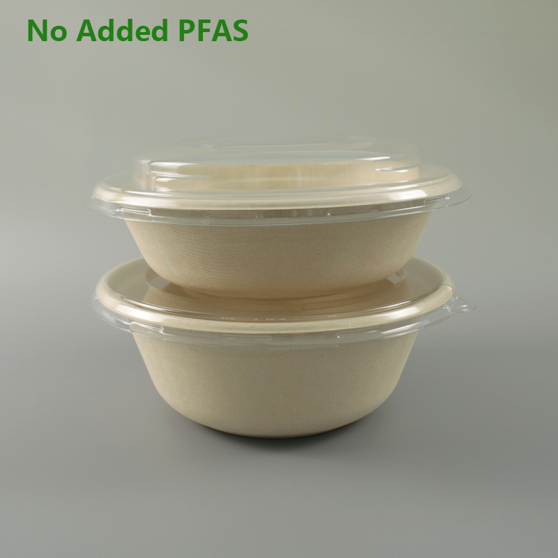Bagasse food container