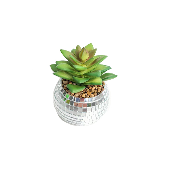 High Quality Onion Grass Artificial Home Decoration Plastic Onion Grass Wholesale Decoration Plants