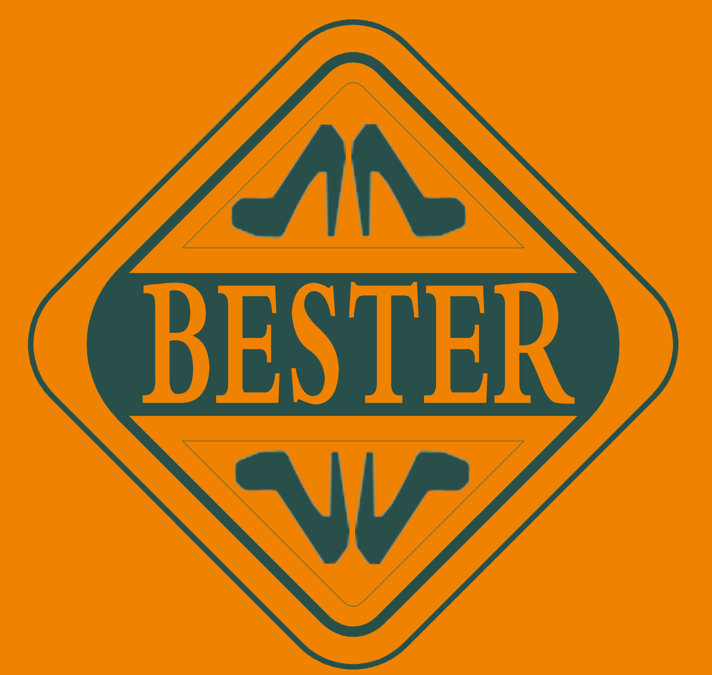 Tongling Beste Shoe Industry Co., Ltd.