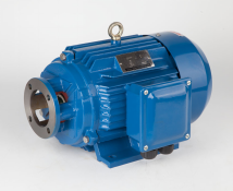 HPPYYB series 3PH Special Motor for Hydraulic Oil Pump