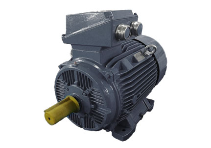 IE1IE2IE3IE4 Cast Iron 3Phase Asynchronous Motor