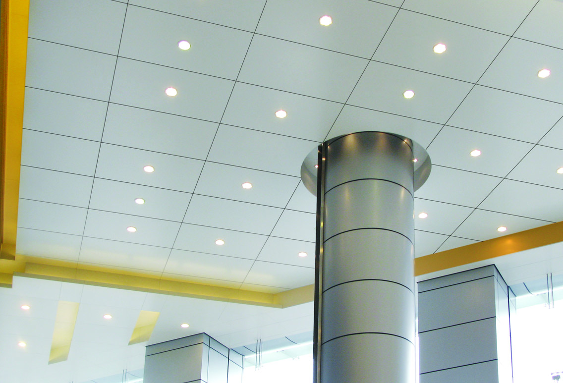 TOP ACE DEVELOPMENT LIMITED – Metal ceiling 2